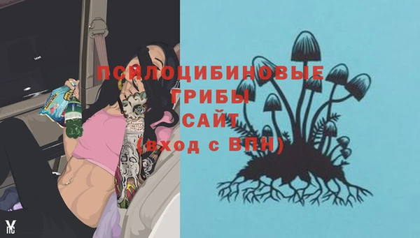 бошки Белоозёрский